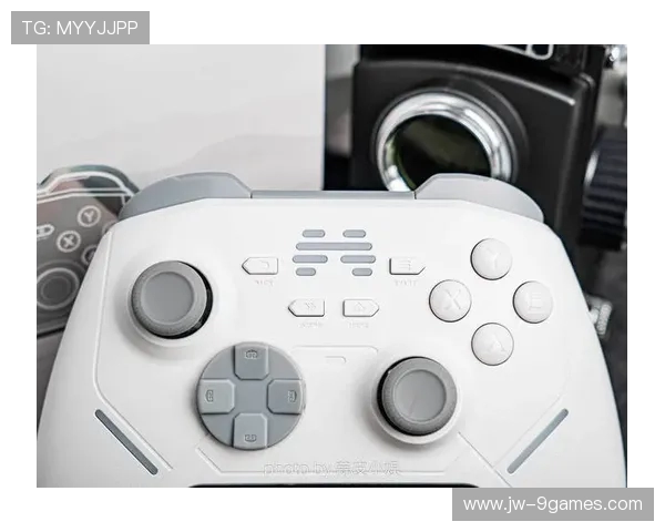 20至80元游戏手柄性价比之王 哪款才是玩家的最佳选择